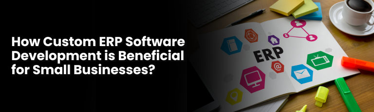 How Custom ERP Software Development is Beneficial for Small Businesses?