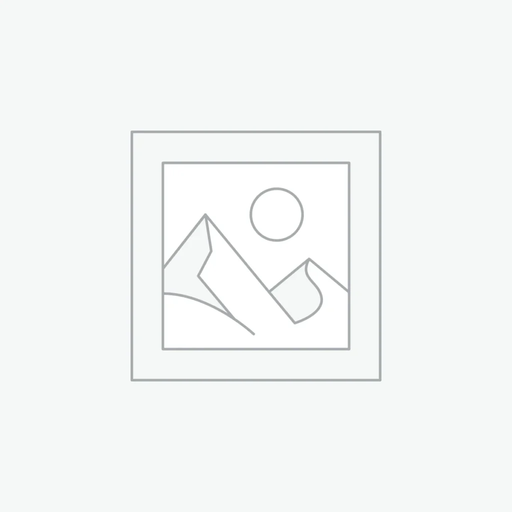 Digital Signature Certificate for Court E-Filing: The 2026 Guide for Advocates 2 Placeholder